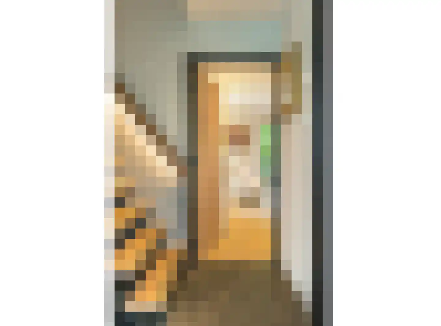 Krommeweg 27 Elspeet thumbnail 23