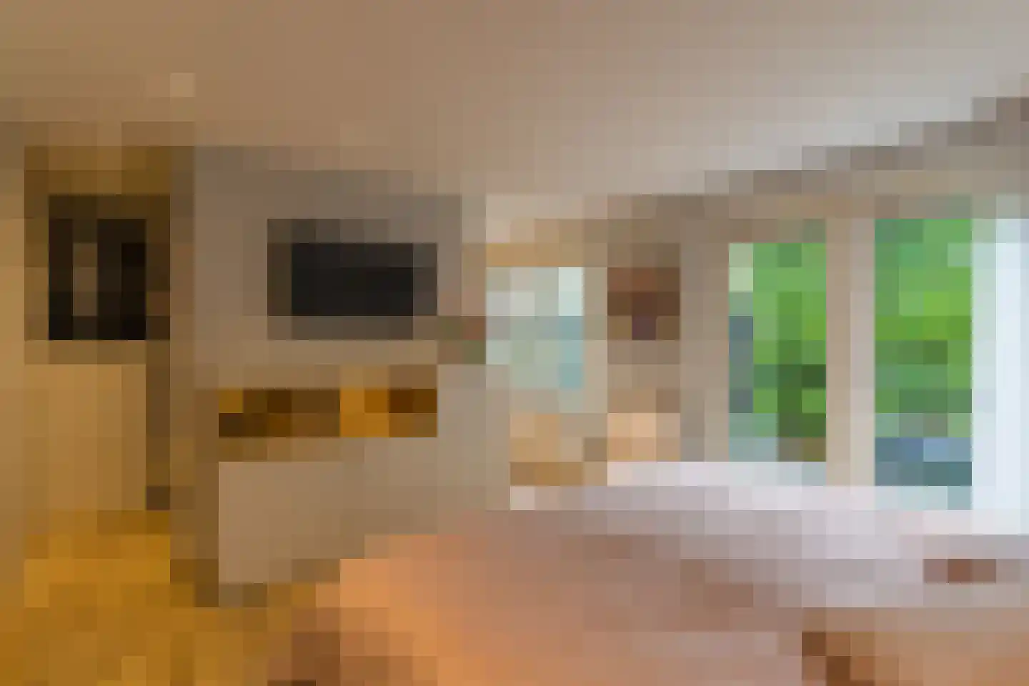 Krommeweg 27 Elspeet thumbnail 25