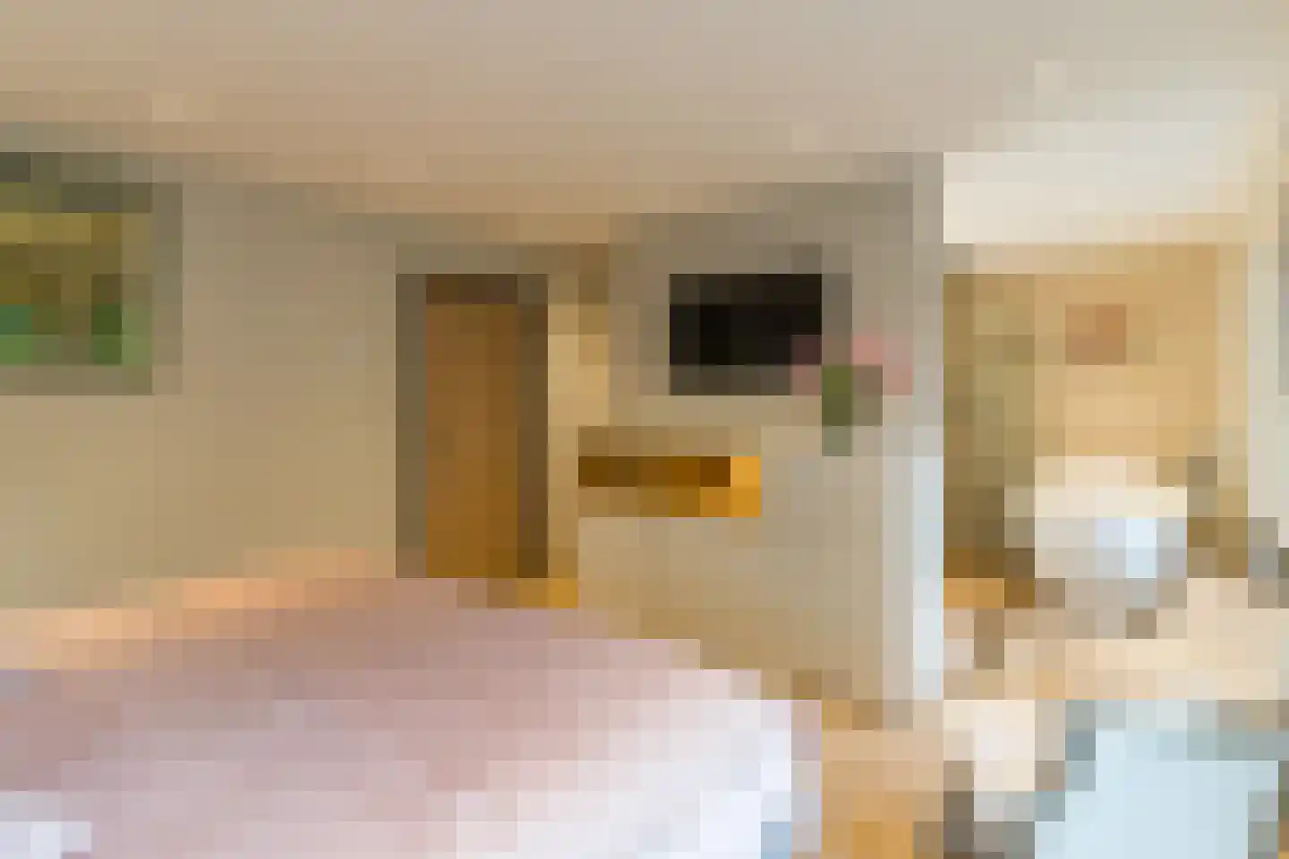 Krommeweg 27 Elspeet thumbnail 26
