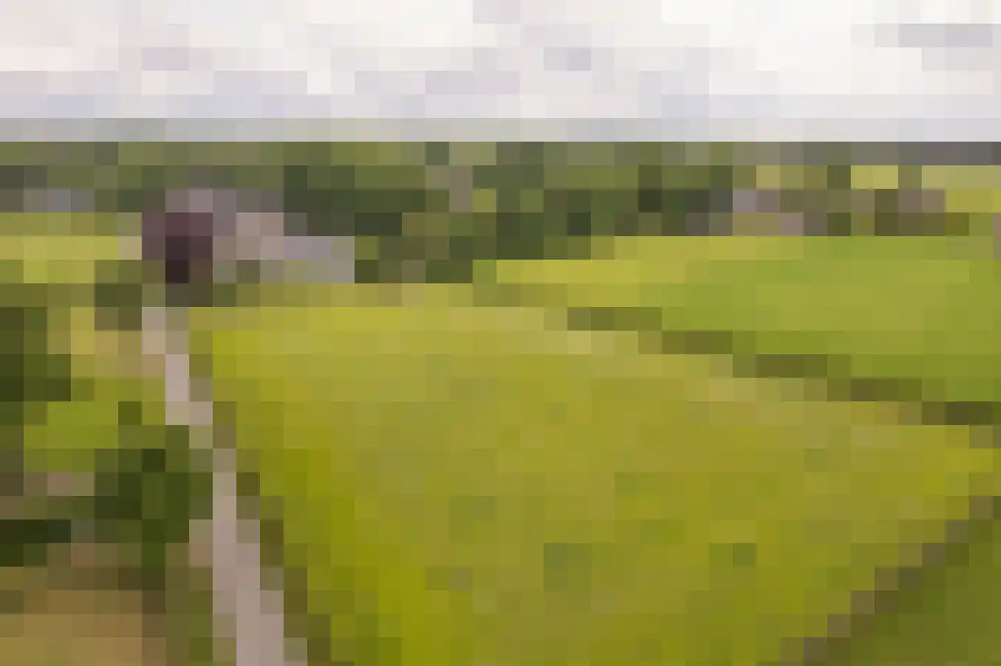Krommeweg 27 Elspeet thumbnail 4