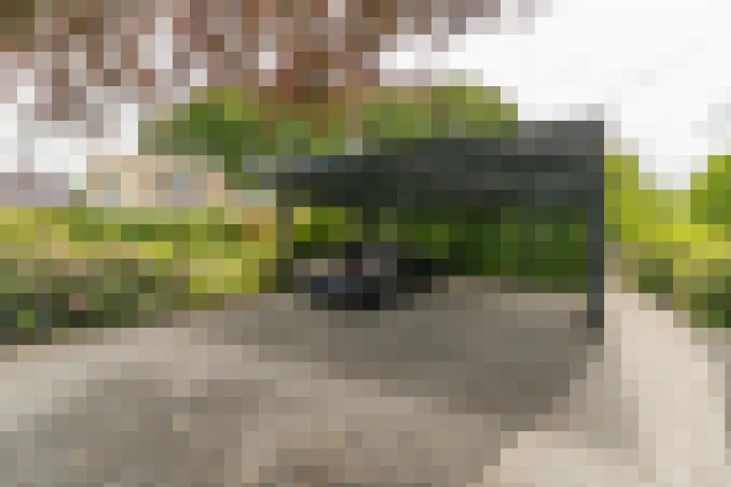 Krommeweg 27 Elspeet thumbnail 41