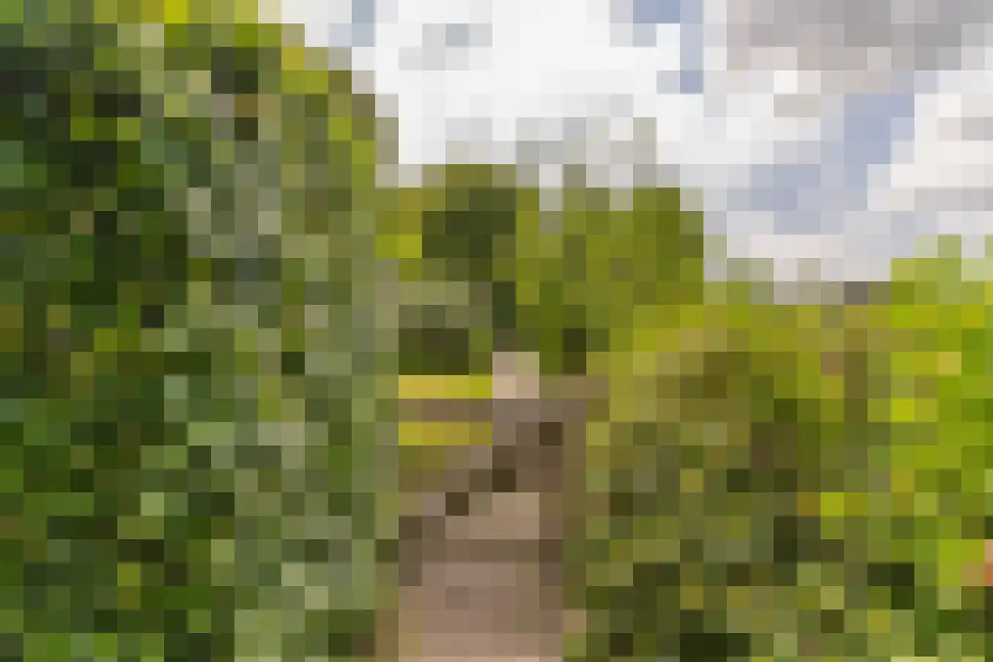 Krommeweg 27 Elspeet thumbnail 42