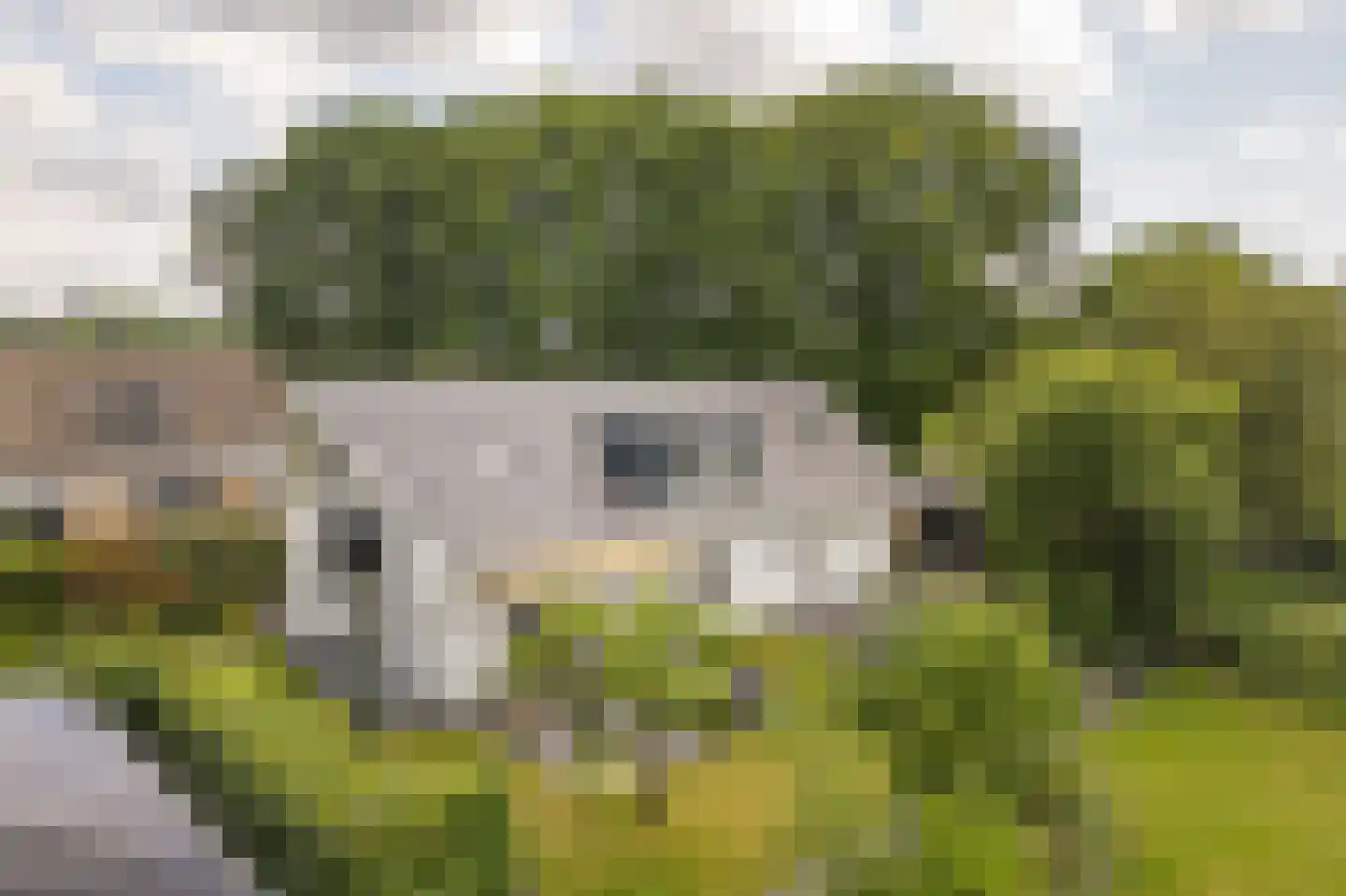 Krommeweg 27 Elspeet thumbnail 43