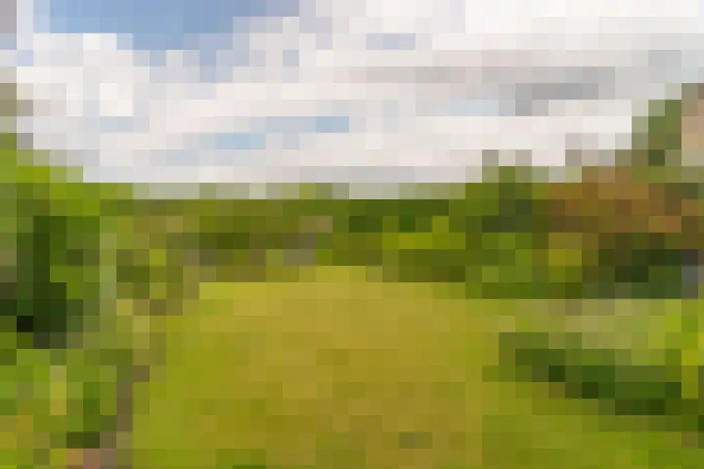 Krommeweg 27 Elspeet thumbnail 45