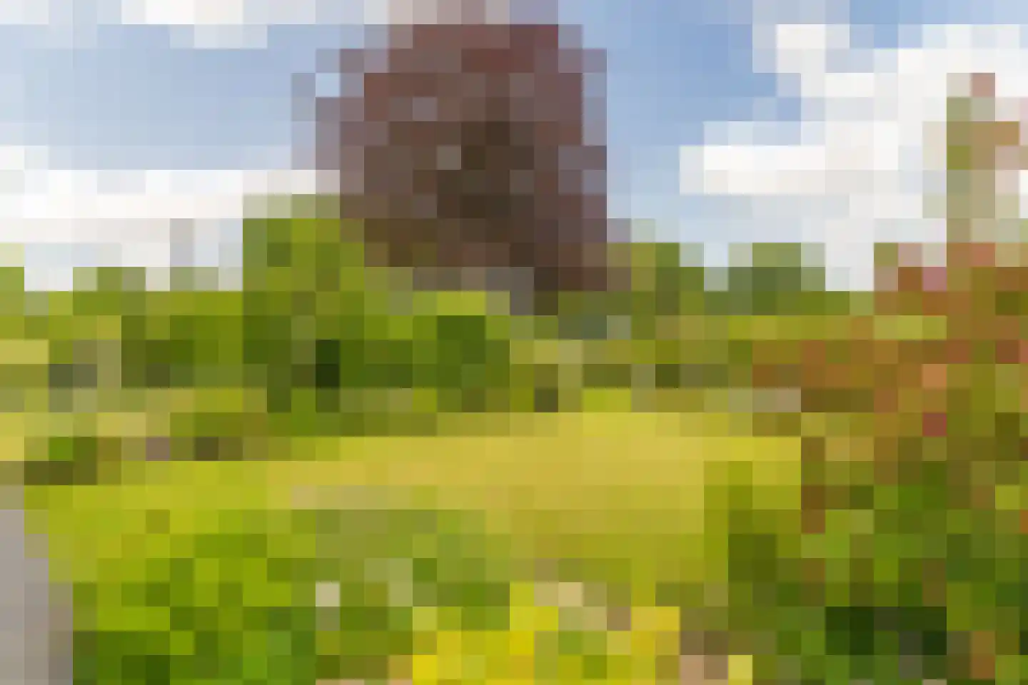 Krommeweg 27 Elspeet thumbnail 47