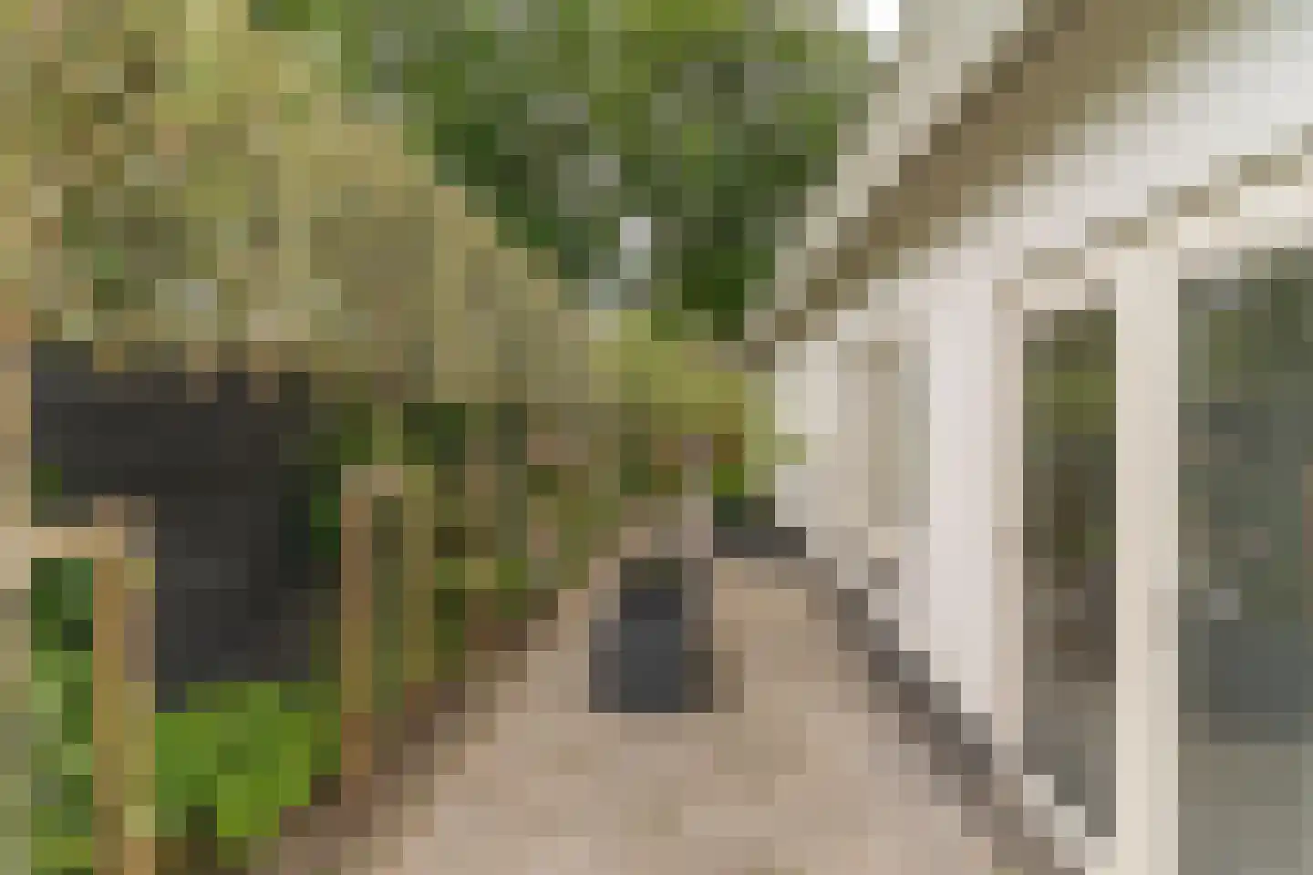 Krommeweg 27 Elspeet thumbnail 48