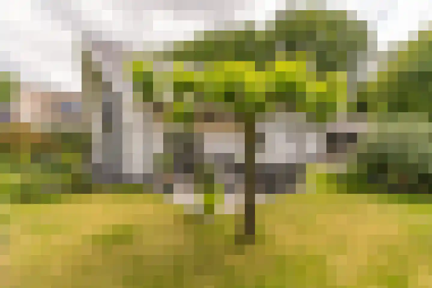 Krommeweg 27 Elspeet thumbnail 5