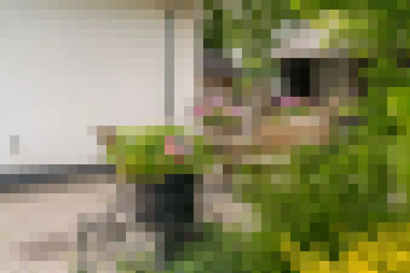 Krommeweg 27 Elspeet thumbnail 51