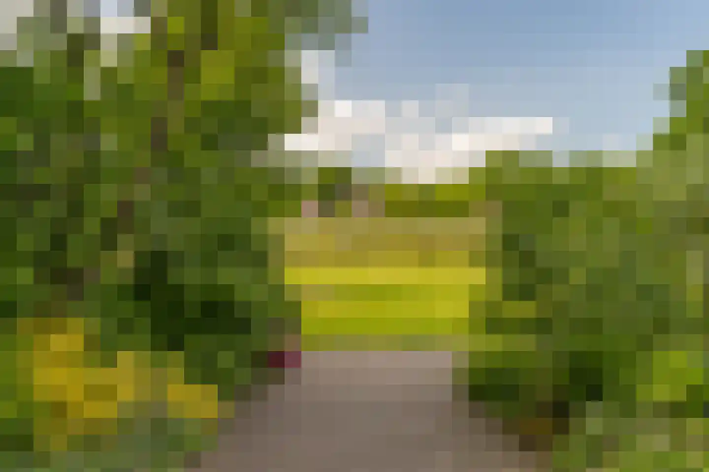 Krommeweg 27 Elspeet thumbnail 57