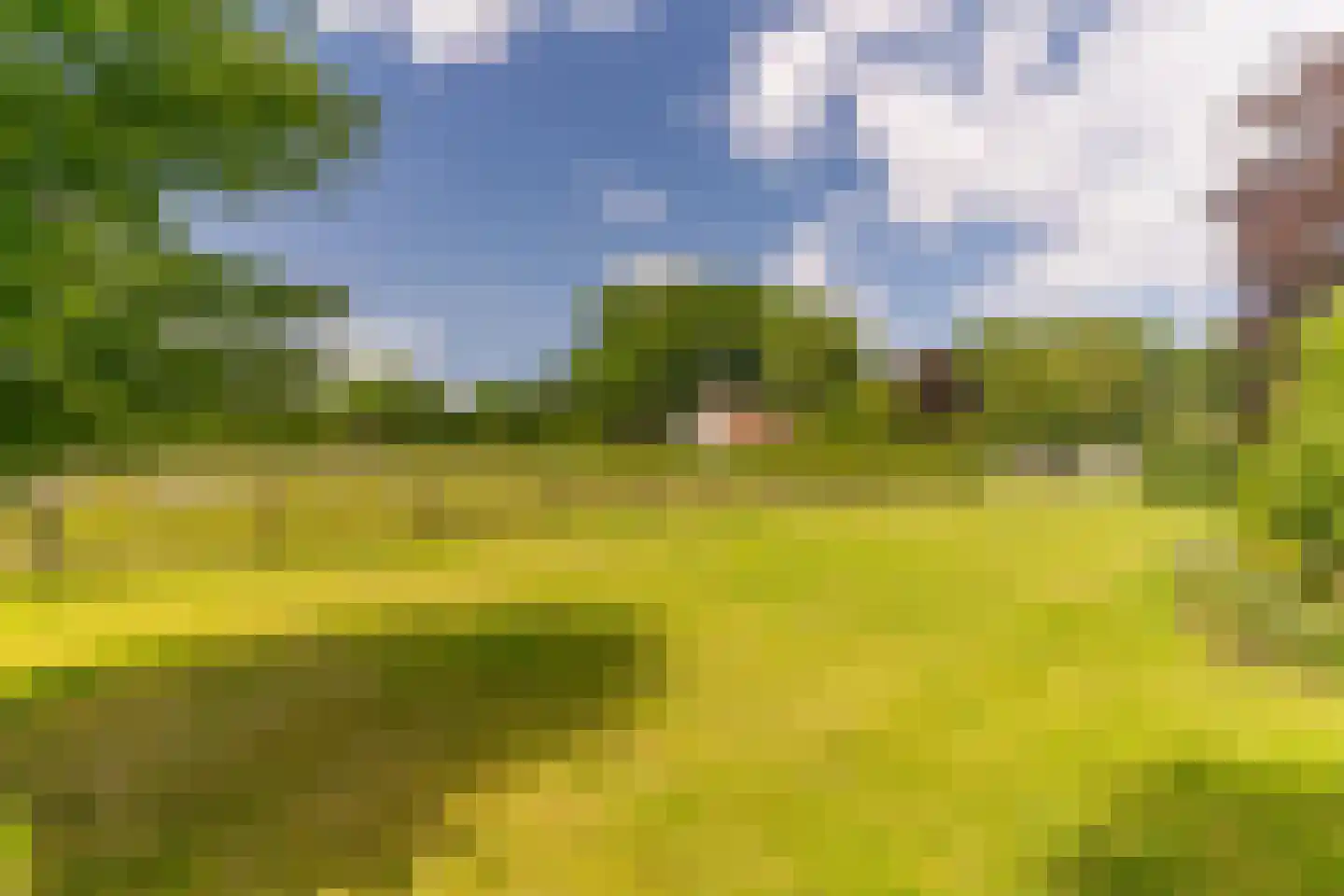 Krommeweg 27 Elspeet thumbnail 58