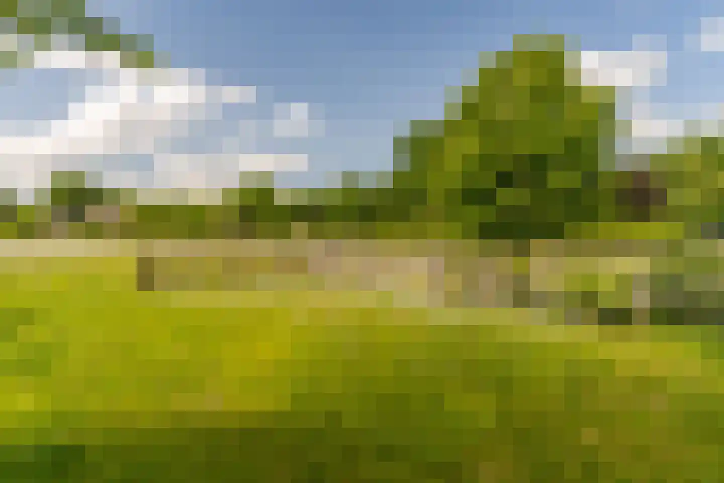 Krommeweg 27 Elspeet thumbnail 59