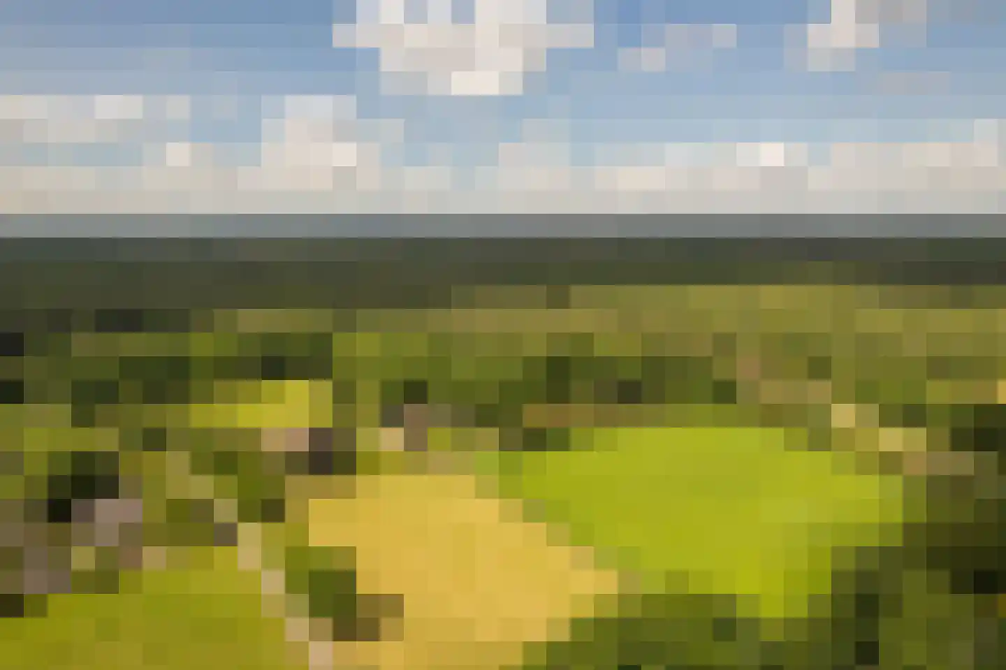 Krommeweg 27 Elspeet thumbnail 61