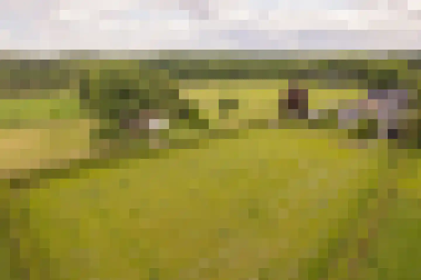 Krommeweg 27 Elspeet thumbnail 7