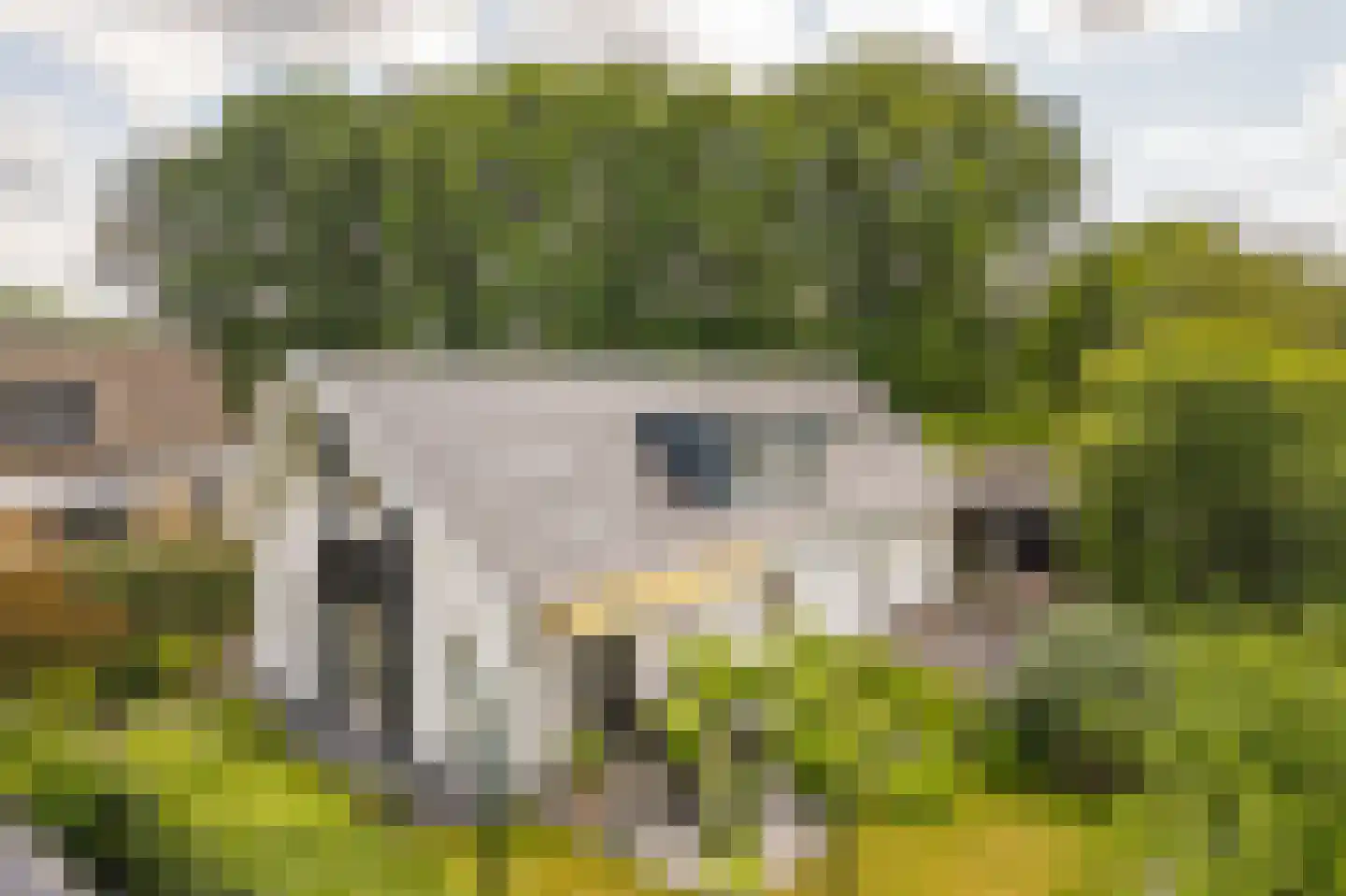 Krommeweg 27 Elspeet thumbnail 8