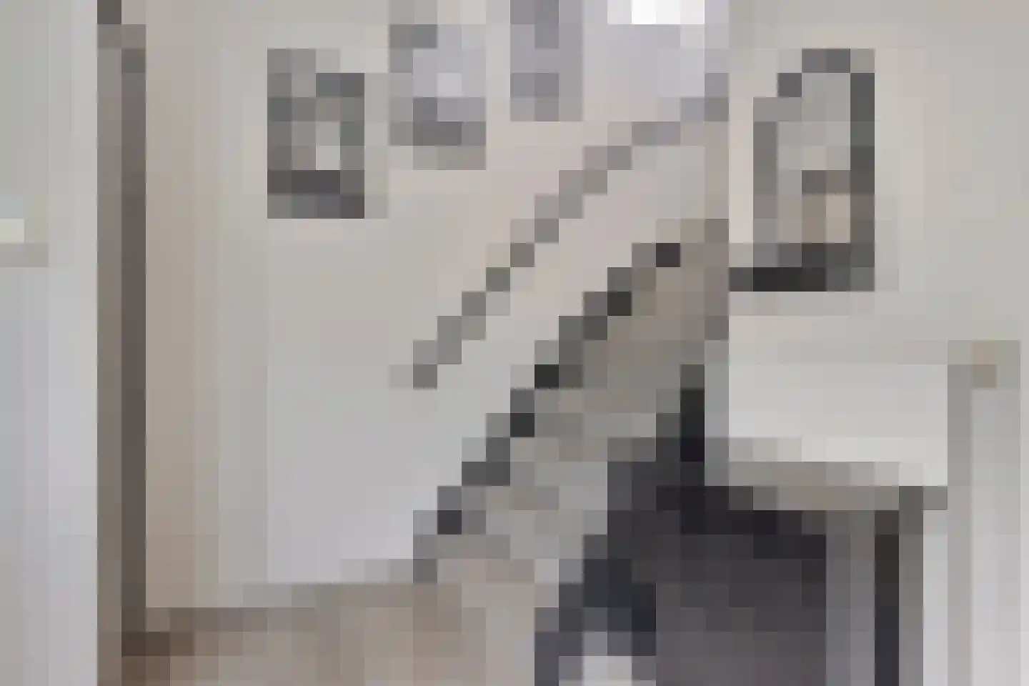 Krommeweg 3 Luyksgestel thumbnail 12
