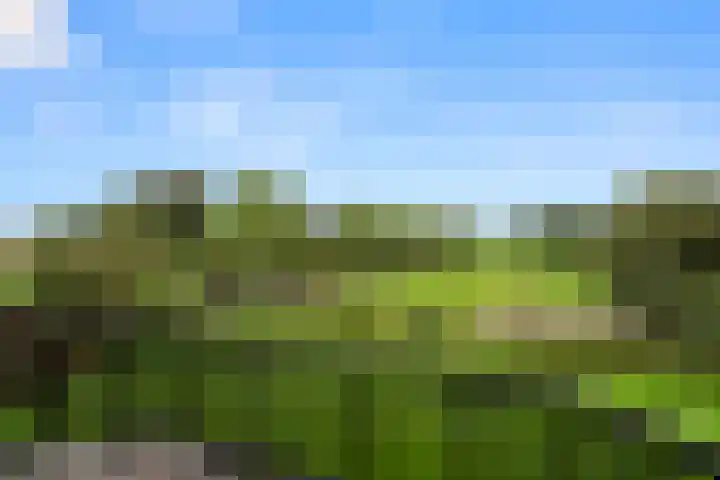 Krommeweg 5 Lunteren thumbnail 37