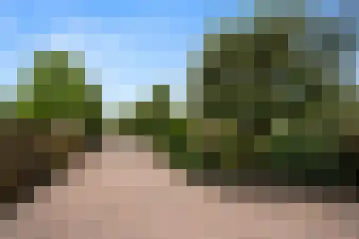 Krommeweg 5 Lunteren thumbnail 58