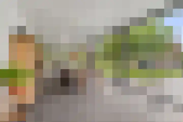 Krommeweg 5 Lunteren thumbnail 79