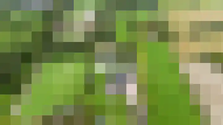 Krommeweg 5 Lunteren thumbnail 88