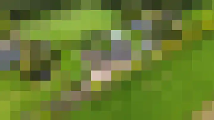 Krommeweg 5 Lunteren thumbnail 89