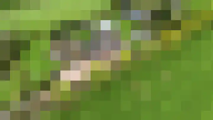 Krommeweg 5 Lunteren thumbnail 90