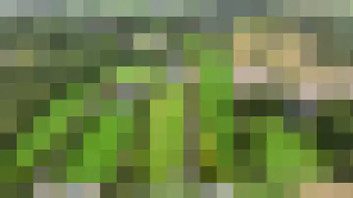 Krommeweg 5 Lunteren thumbnail 93