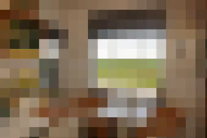 Krommeweg 8 IJzendijke thumbnail 13