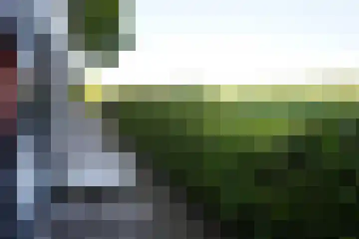 Krommeweg 8 IJzendijke thumbnail 31