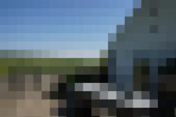 Krommeweg 8 IJzendijke thumbnail 34