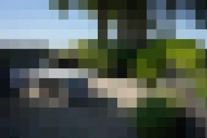 Krommeweg 8 IJzendijke thumbnail 35