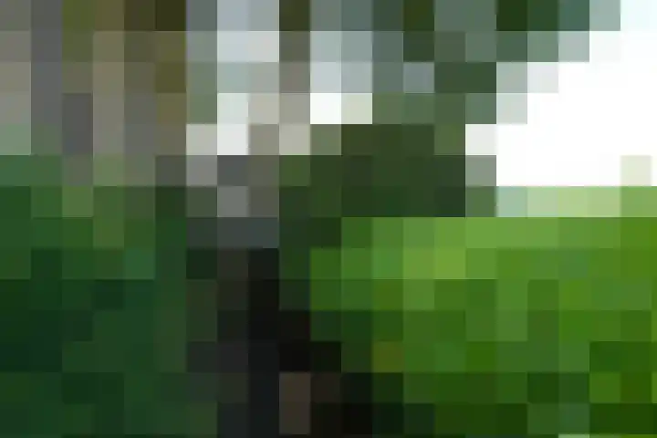Krommeweg 8 IJzendijke thumbnail 36