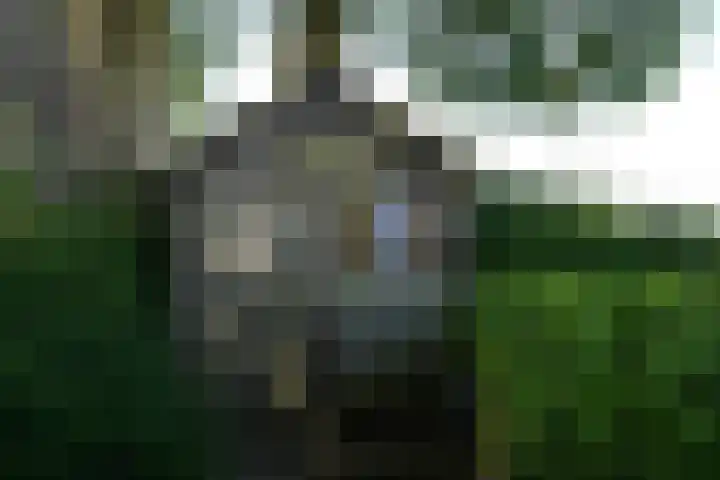 Krommeweg 8 IJzendijke thumbnail 37