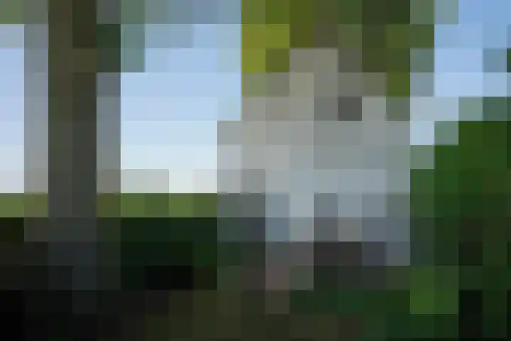 Krommeweg 8 IJzendijke thumbnail 38