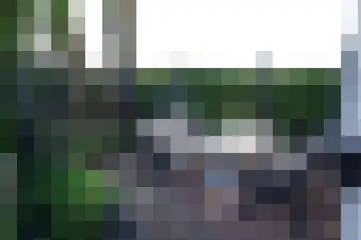 Krommeweg 8 IJzendijke thumbnail 39