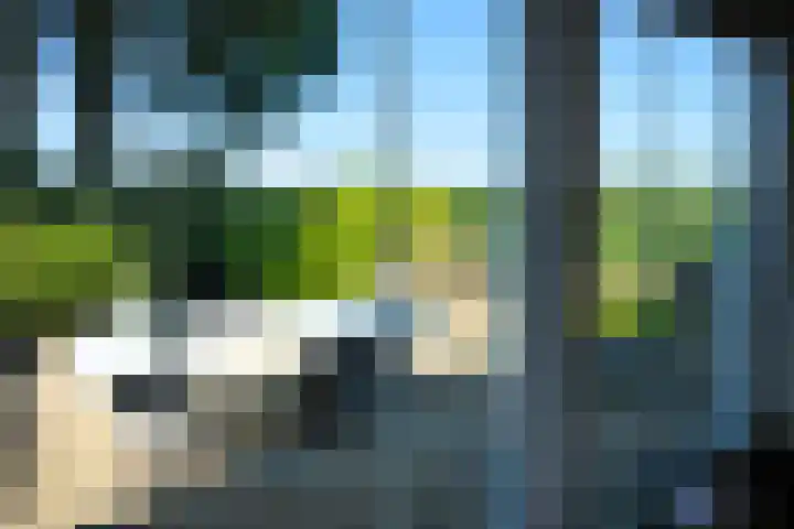 Krommeweg 8 IJzendijke thumbnail 4