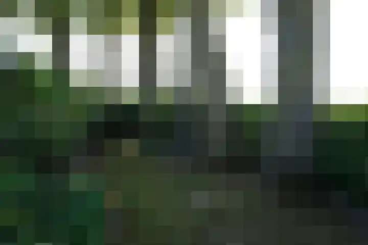 Krommeweg 8 IJzendijke thumbnail 40