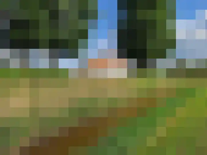 Krommeweg 8 IJzendijke thumbnail 43
