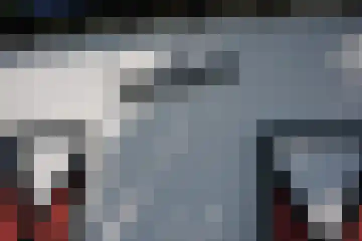 Krommeweg 8 IJzendijke thumbnail 45