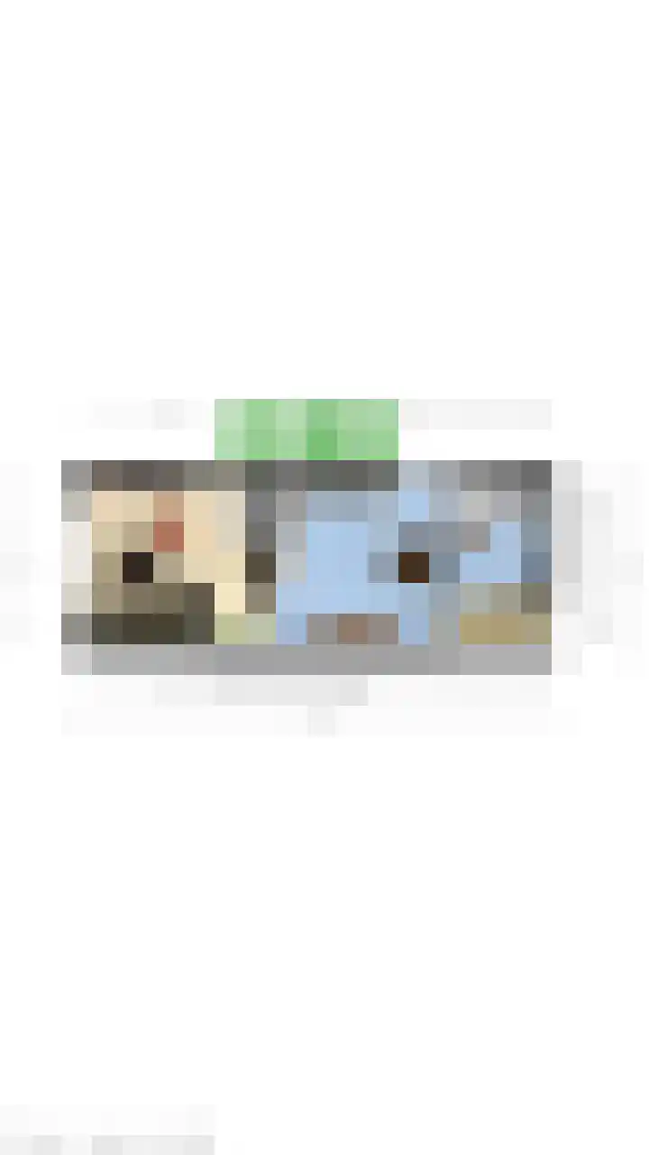 Krommeweg 8 IJzendijke thumbnail 49