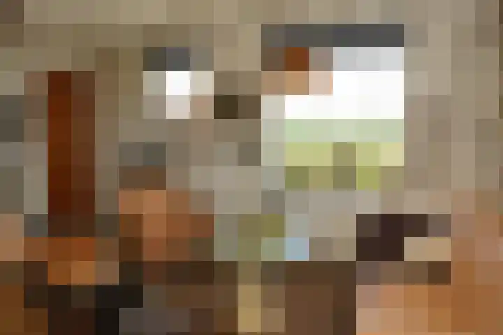 Krommeweg 8 IJzendijke thumbnail 5