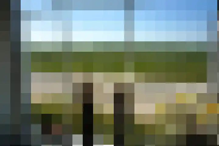 Krommeweg 8 IJzendijke thumbnail 6
