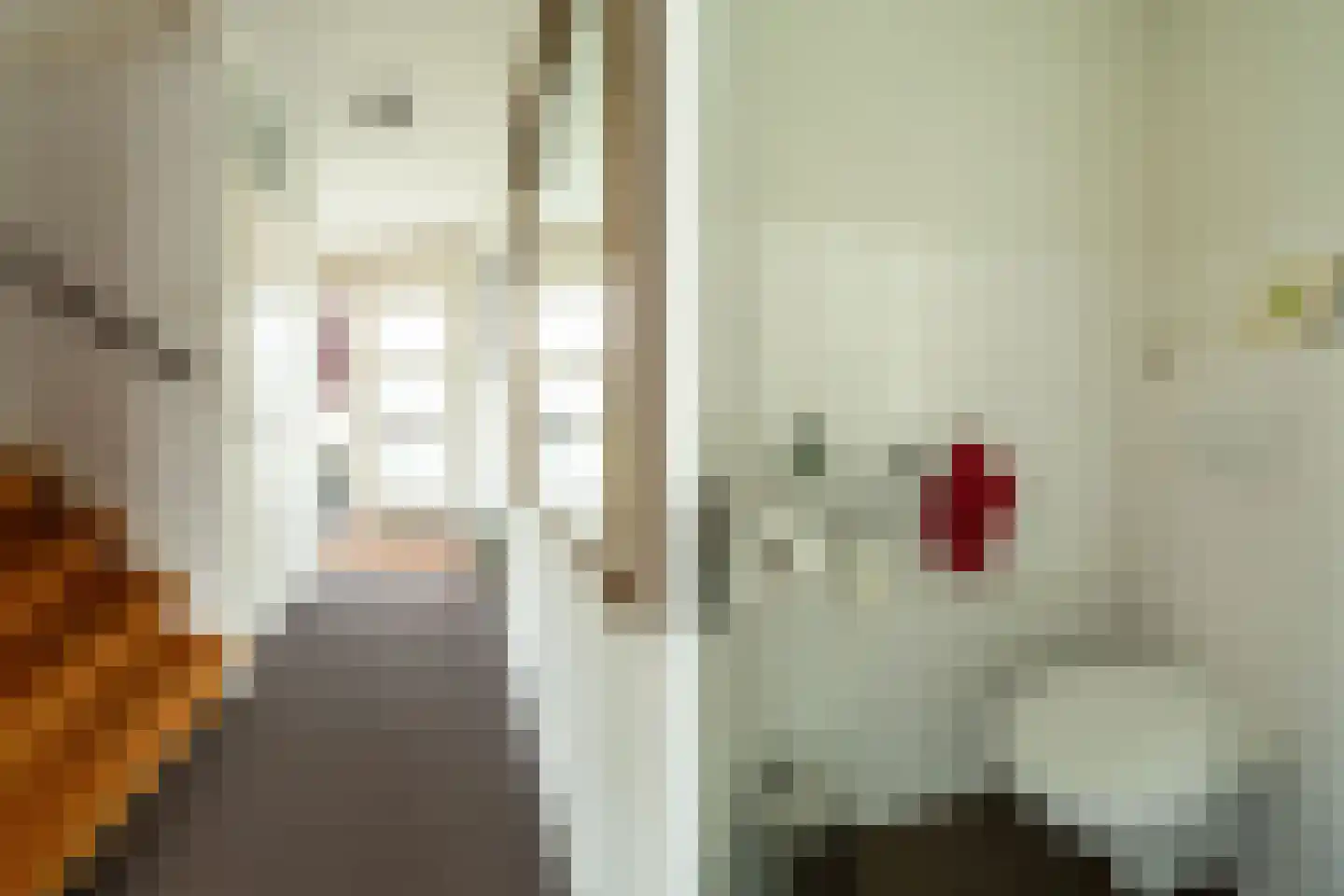 Krommeweid 28 Velserbroek thumbnail 8