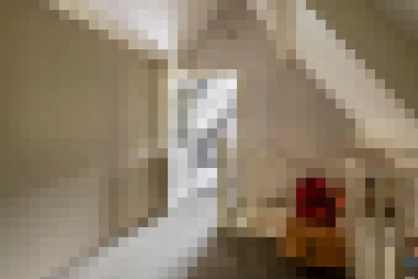 Krommewijk 13 Stadskanaal thumbnail 35