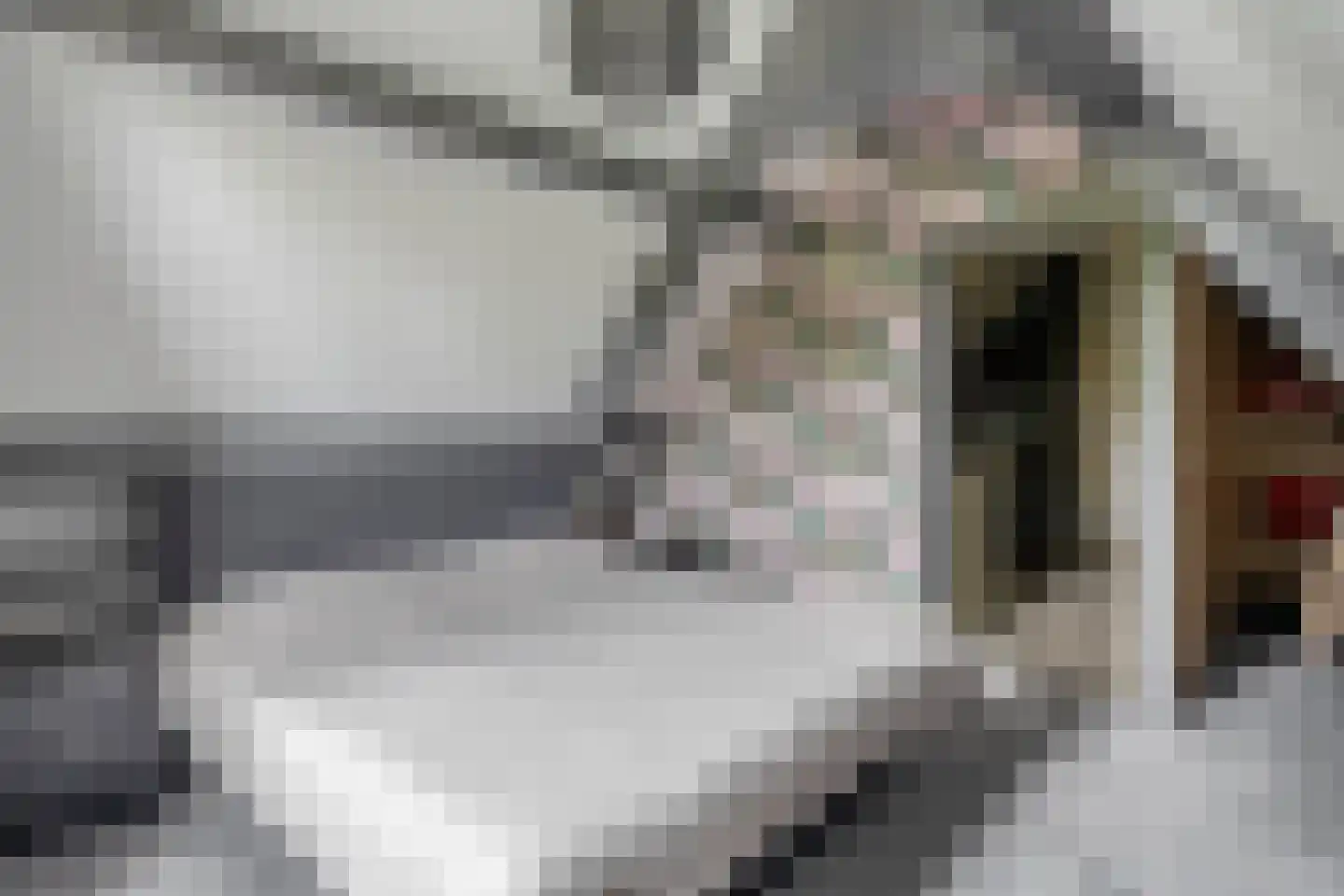 Krommewijk 13 Stadskanaal thumbnail 38