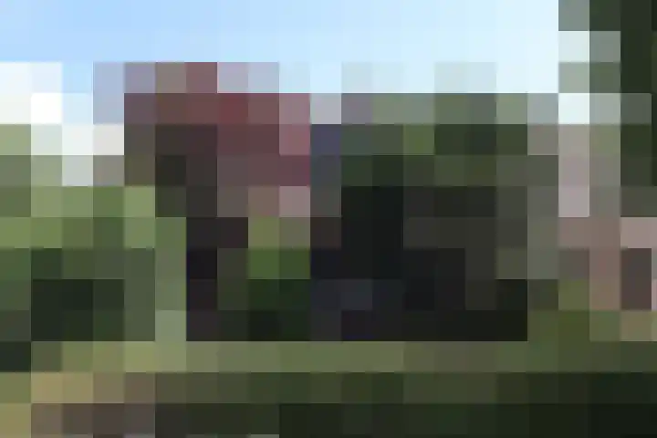 Krommewoud 26 in Zwaag