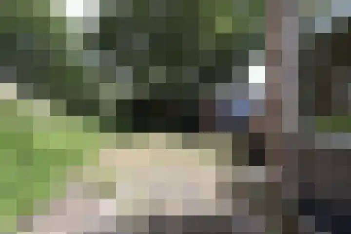 Krommewoud 26 Zwaag thumbnail 16