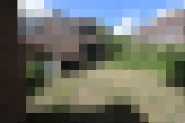 Krommewoud 26 Zwaag thumbnail 17