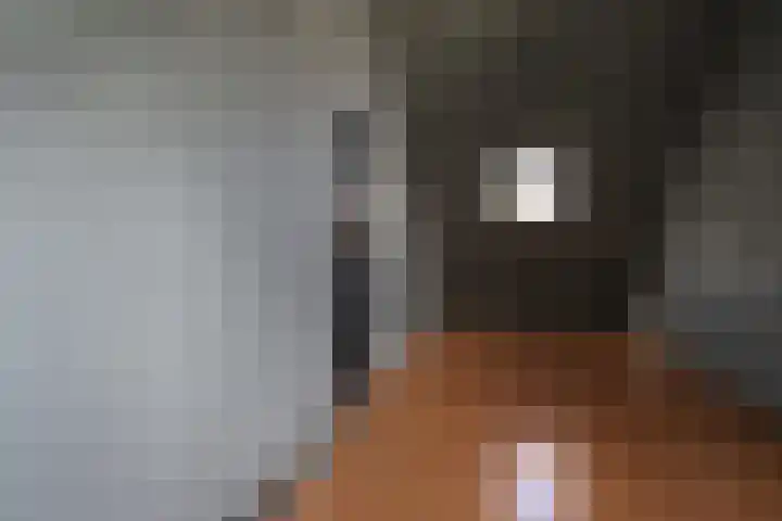 Krommewoud 26 Zwaag thumbnail 23