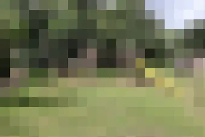Krommewoud 26 Zwaag thumbnail 27