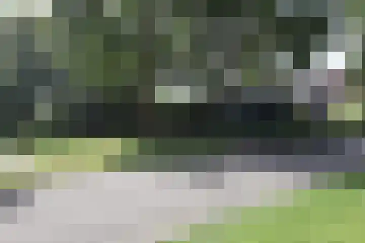 Krommewoud 26 Zwaag thumbnail 28